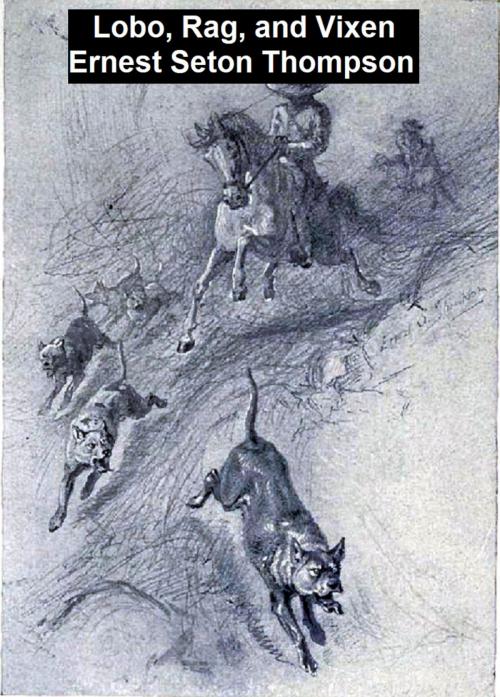 Cover of the book Lobo, Rag, and Vixen by Ernest Thompson Seton, Seltzer Books