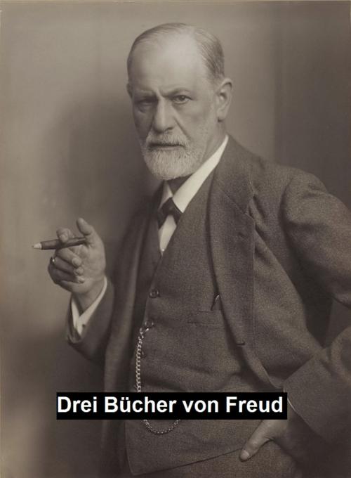 Cover of the book Drei Bücher by Sigmund Freud, Seltzer Books