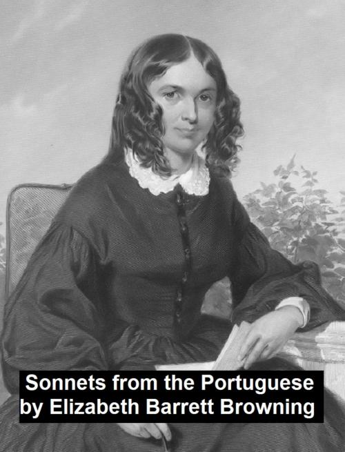 Cover of the book Sonnets from the Portuguese by Elizabeth Barrett Browning, Seltzer Books