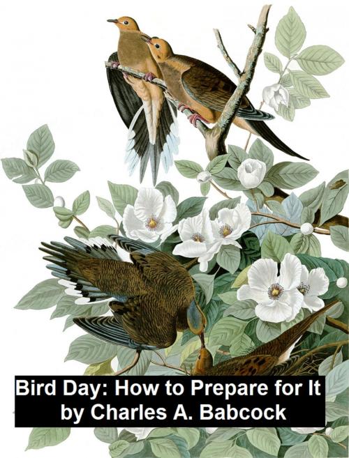 Cover of the book Bird Day: How to Prepare for It by Charles A. Babcock, Seltzer Books