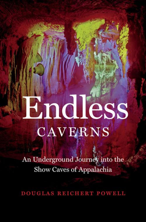 Cover of the book Endless Caverns by Douglas Reichert Powell, The University of North Carolina Press