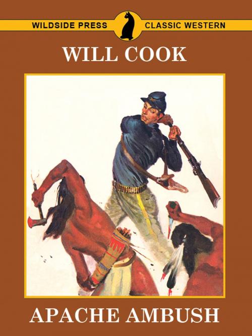 Cover of the book Apache Ambush by Will Cook, Wildside Press LLC