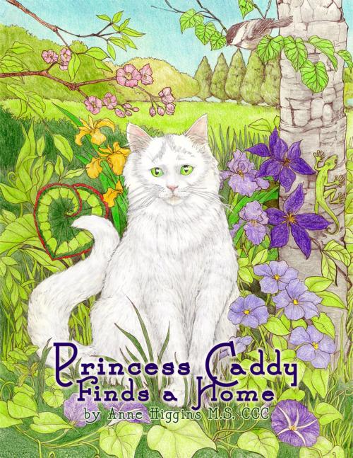 Cover of the book Princess Caddy Finds a Home by Anne Higgins M.S. CCC, Dorrance Publishing