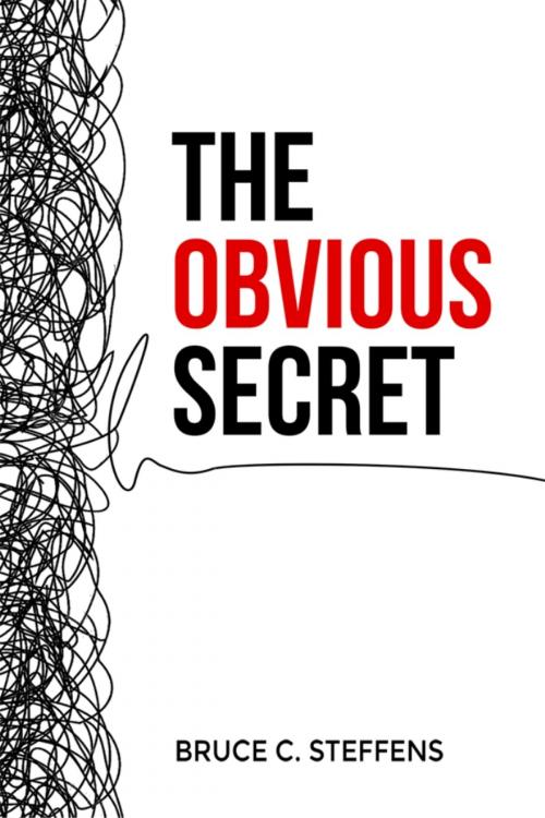Cover of the book The Obvious Secret by Bruce C. Steffens, Dorrance Publishing