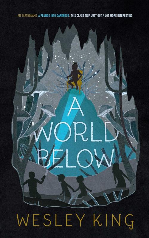 Cover of the book A World Below by Wesley King, Simon & Schuster/Paula Wiseman Books