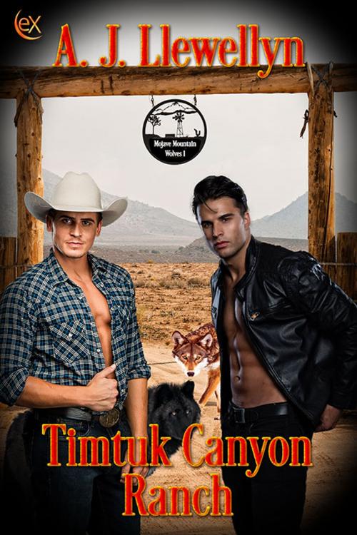 Cover of the book Timtuk Canyon Ranch by A.J. Llewellyn, eXtasy Books Inc