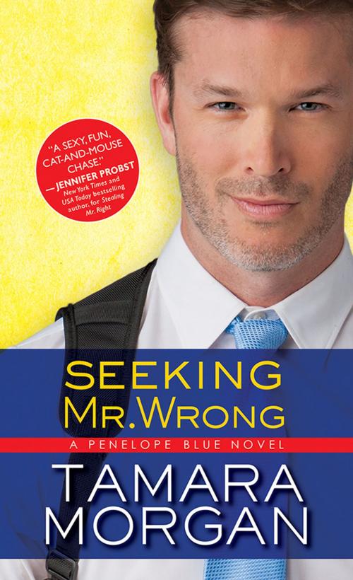 Cover of the book Seeking Mr. Wrong by Tamara Morgan, Sourcebooks