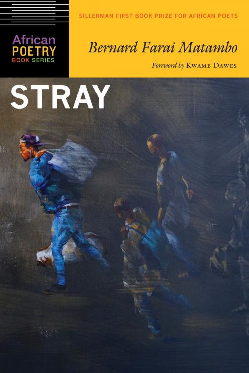 Cover of the book Stray by Bernard Farai Matambo, UNP - Nebraska
