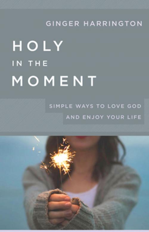 Cover of the book Holy in the Moment by Ginger Harrington, Abingdon Press