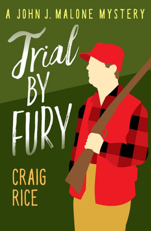 Cover of the book Trial by Fury by Craig Rice, MysteriousPress.com/Open Road
