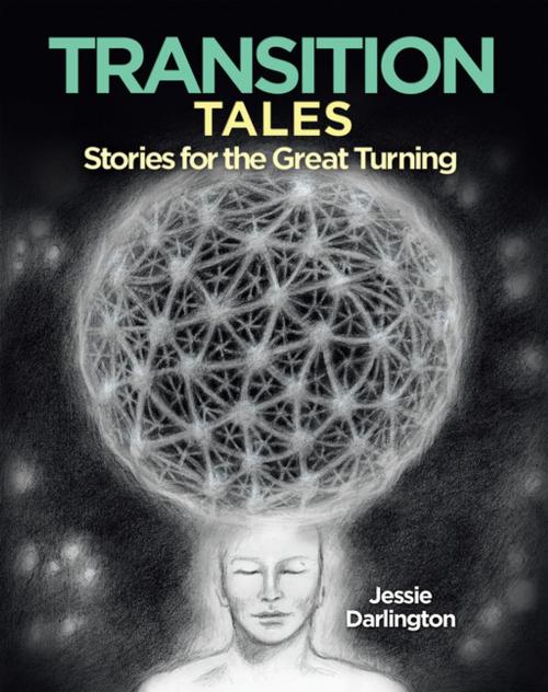 Cover of the book Transition Tales by Jessie Darlington, Balboa Press