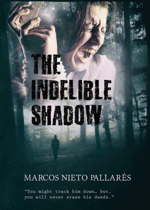 Cover of the book The Indelible Shadow by MARCOS NIETO PALLARÉS, Babelcube Inc.