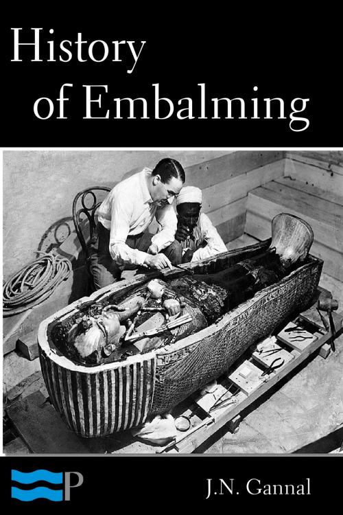 Cover of the book History of Embalming and of Preparations in Anatomy, Pathology, and Natural History by J.N. Gannal, Charles River Editors
