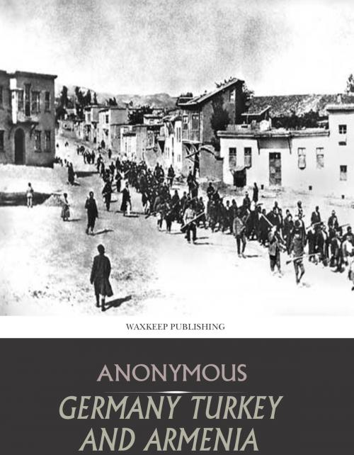Cover of the book Germany Turkey and Armenia by Anonymous, Charles River Editors