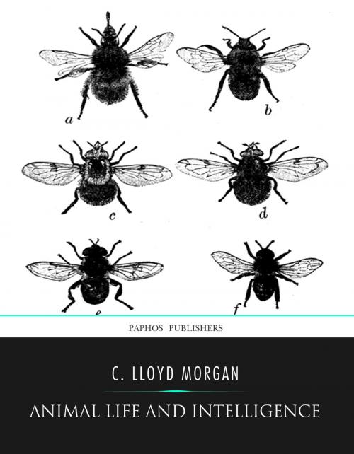 Cover of the book Animal Life and Intelligence by C. Lloyd Morgan, Charles River Editors