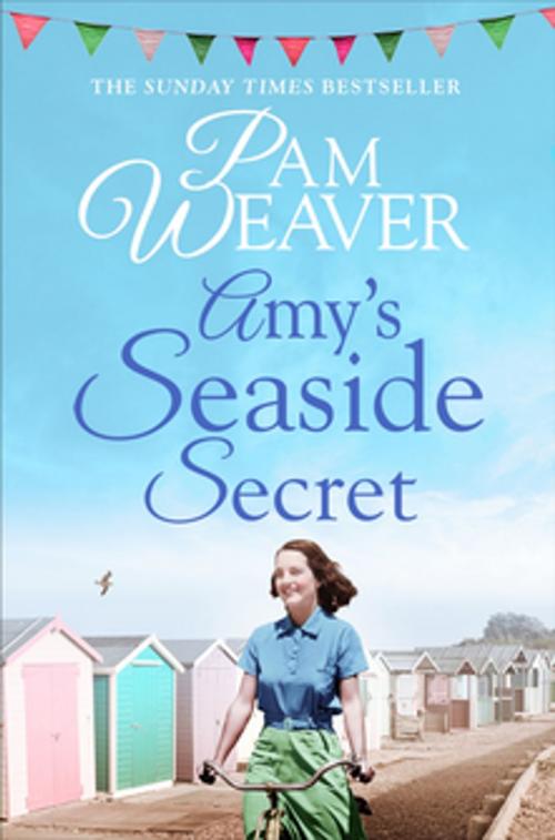 Cover of the book Amy's Seaside Secret by Pam Weaver, Pan Macmillan