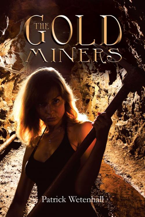 Cover of the book The Gold Miners by Patrick Wetenhall, AuthorHouse UK
