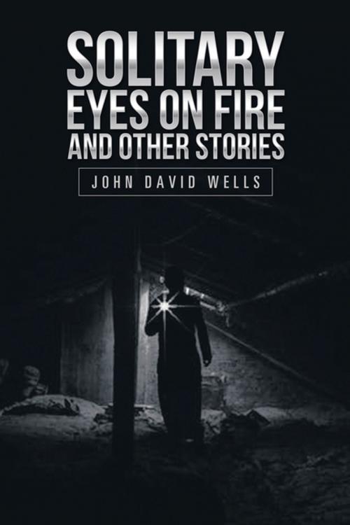 Cover of the book Solitary Eyes on Fire and Other Stories by John David Wells, iUniverse