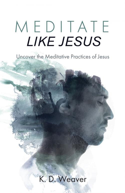 Cover of the book Meditate Like Jesus by K. D. Weaver, Wipf and Stock Publishers