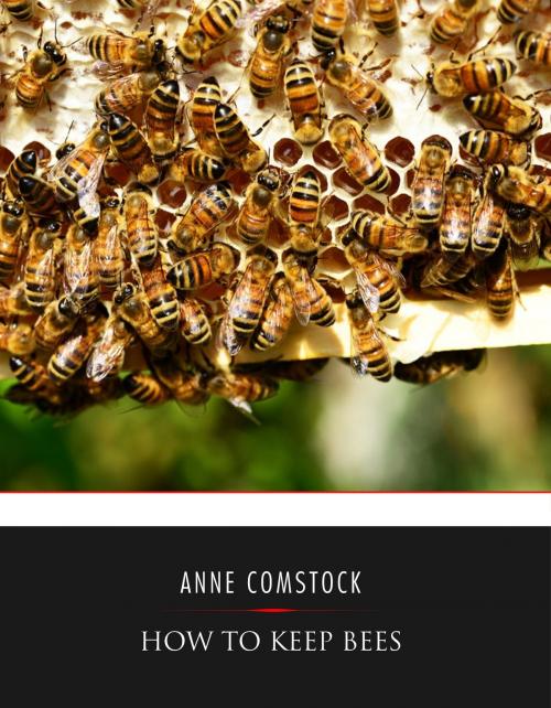 Cover of the book How to Keep Bees by Anna Botsford Comstock, Charles River Editors