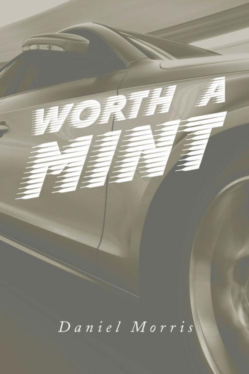 Cover of the book Worth a Mint by Daniel Morris, Xlibris AU