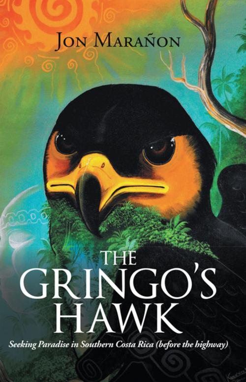 Cover of the book The Gringo’s Hawk by Jon Marañon, Xlibris US