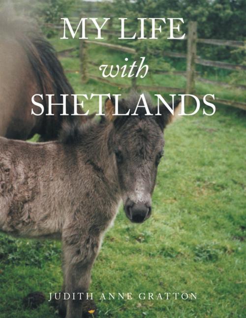 Cover of the book My Life with Shetlands by Judith Anne Gratton, Xlibris UK