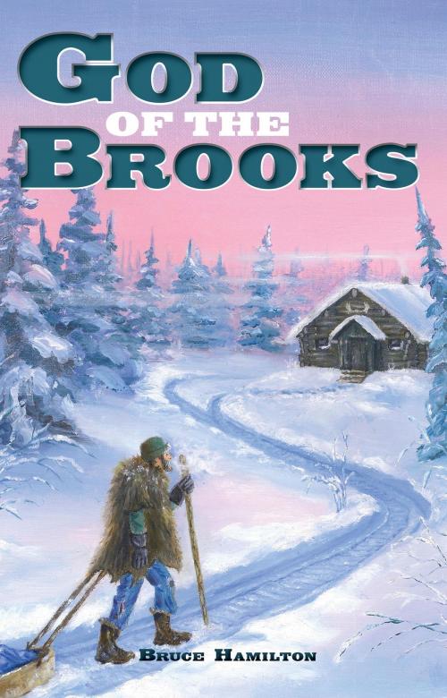 Cover of the book God of the Brooks by Bruce Hamilton, BookBaby