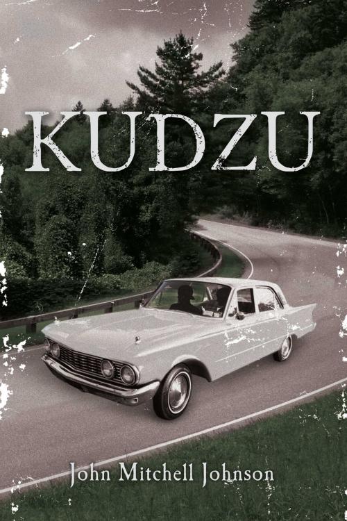 Cover of the book Kudzu by John Mitchell Johnson, BookBaby