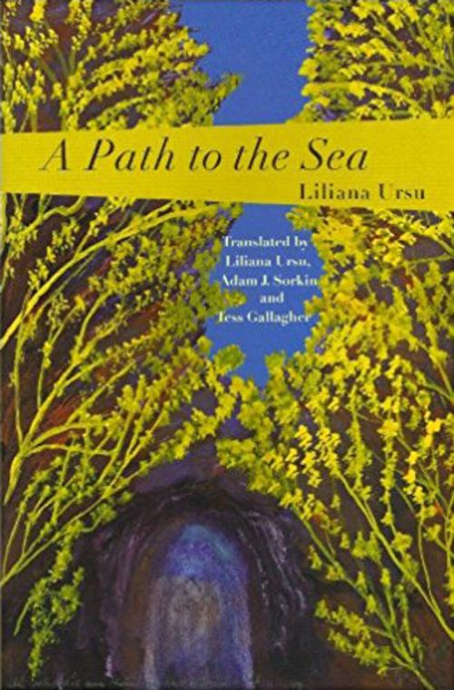 Cover of the book A Path to the Sea by Liliana Ursu, PBS Publications