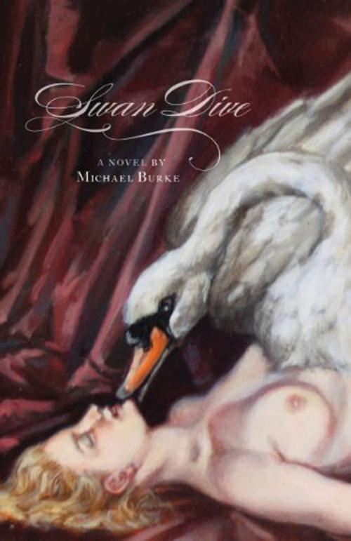 Cover of the book Swan Dive by Michael Burke, PBS Publications