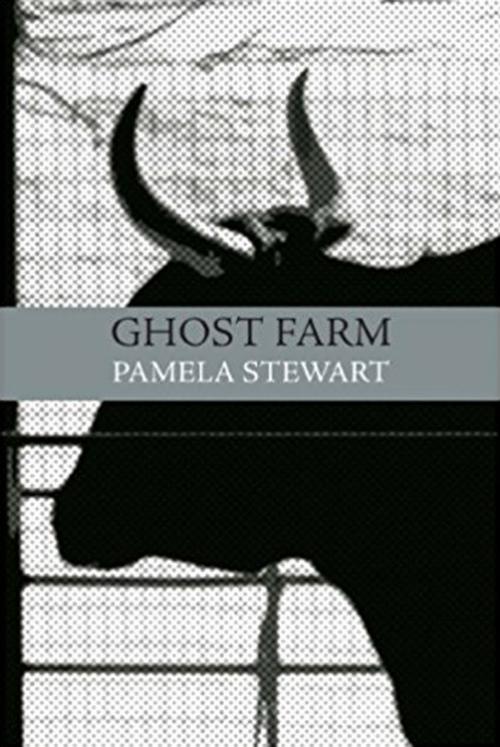 Cover of the book The Ghost Farm by Pamela Stewart, PBS Publications