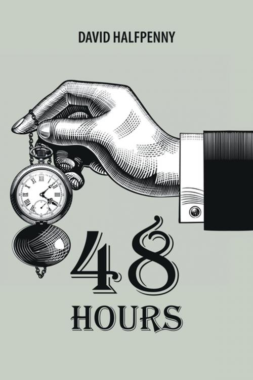 Cover of the book 48 Hours by David Halfpenny, AuthorHouse UK
