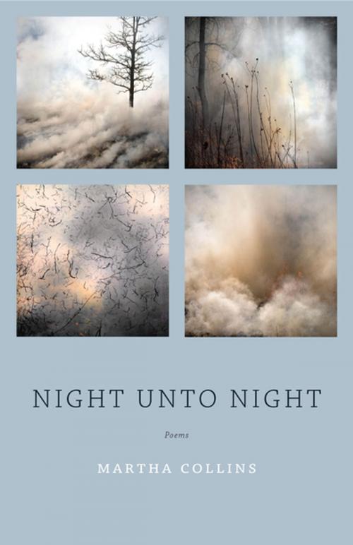 Cover of the book Night Unto Night by Martha Collins, Milkweed Editions