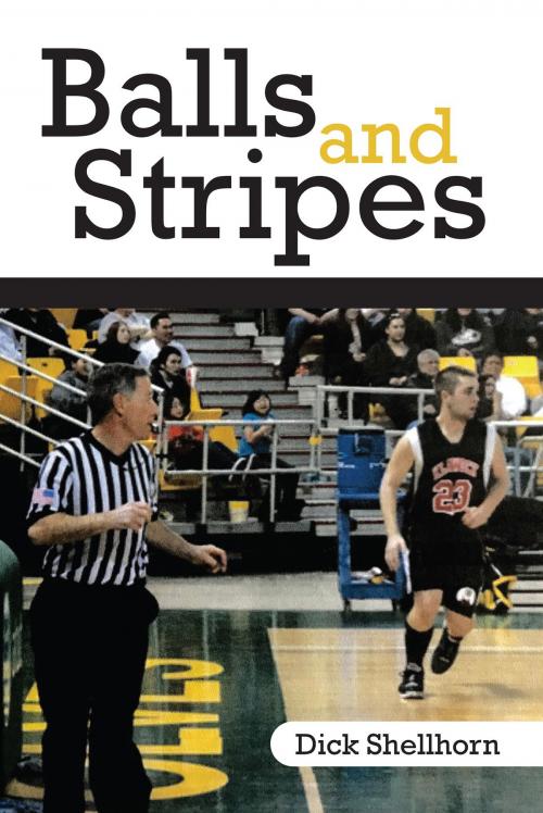 Cover of the book Balls and Stripes by Richard Shellhorn, Publication Consultants