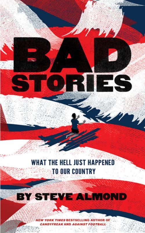 Cover of the book Bad Stories by Steve Almond, Red Hen Press