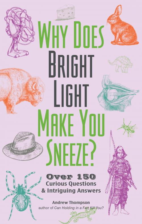 Cover of the book Why Does Bright Light Make You Sneeze? by Andrew Thompson, Ulysses Press