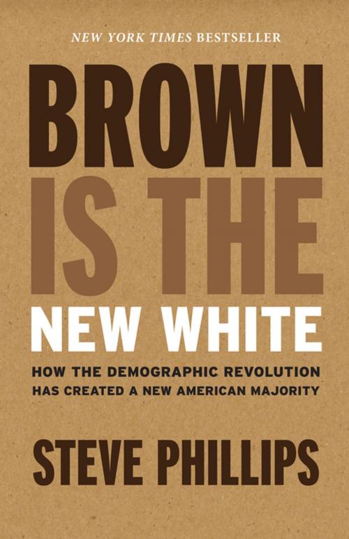 Cover of the book Brown Is the New White by Steve Phillips, The New Press