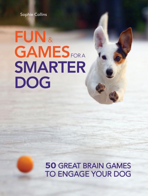 Cover of the book Fun and Games for a Smarter Dog by Sophie Collins, CompanionHouse Books