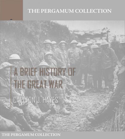 Cover of the book A Brief History of the Great War by Carlton J. Hayes, Charles River Editors