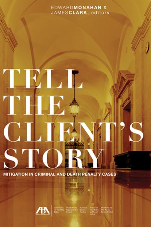 Cover of the book Tell the Client's Story by , American Bar Association