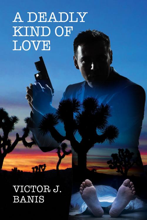 Cover of the book A Deadly Kind of Love by Victor J. Banis, Dreamspinner Press