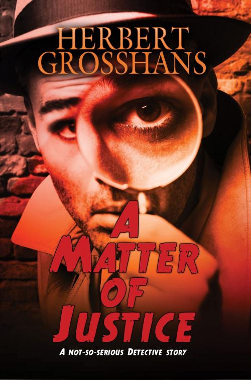 Cover of the book A Matter of Justice by Herbert Grosshans, Melange Books, LLC