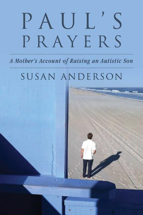 Cover of the book Paul's Prayers by Susan Anderson, Good Books