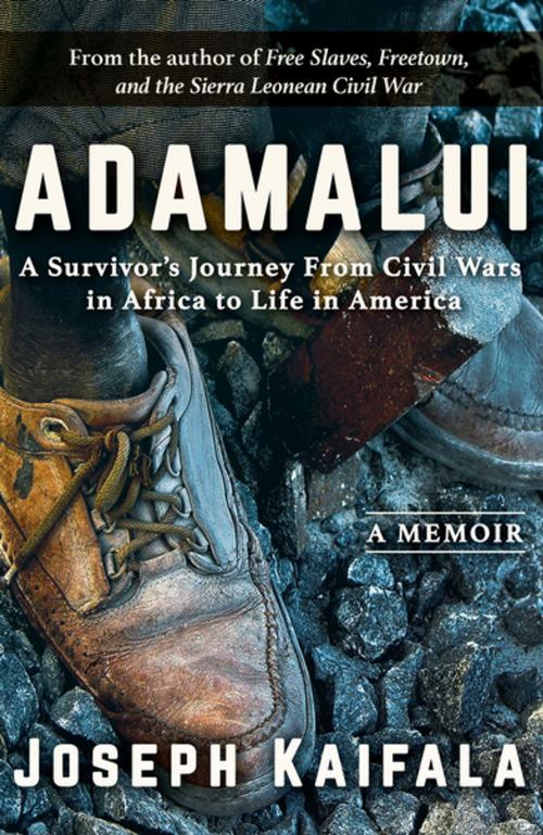 Cover of the book Adamalui by Joseph Kaifala, Turner Publishing Company