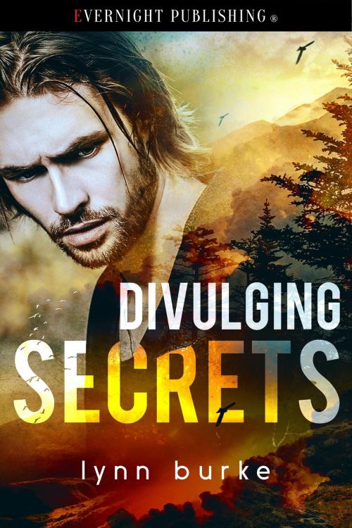 Cover of the book Divulging Secrets by Lynn Burke, Evernight Publishing