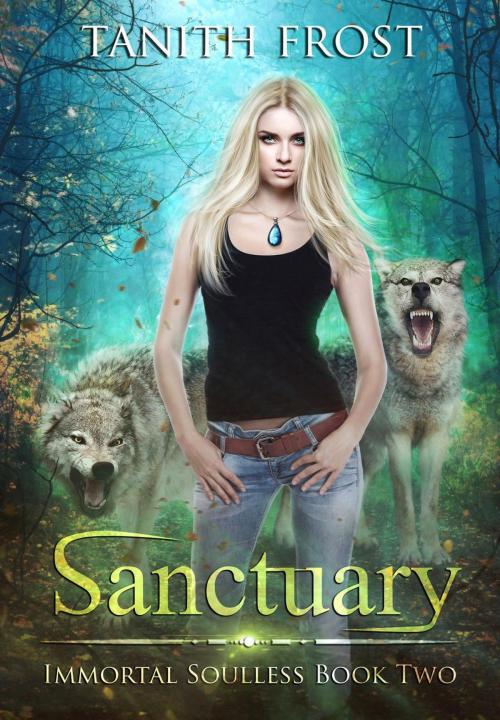 Cover of the book Sanctuary by Tanith Frost, Sparrowcat Press