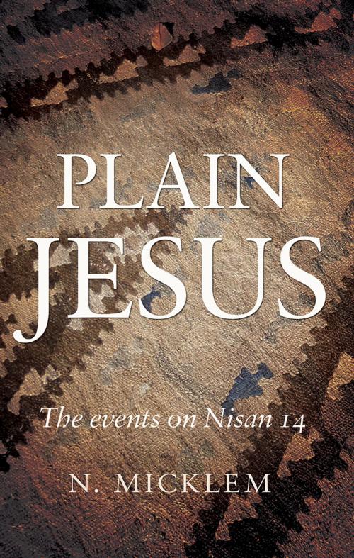 Cover of the book Plain Jesus by N. Micklem, Troubador Publishing Ltd