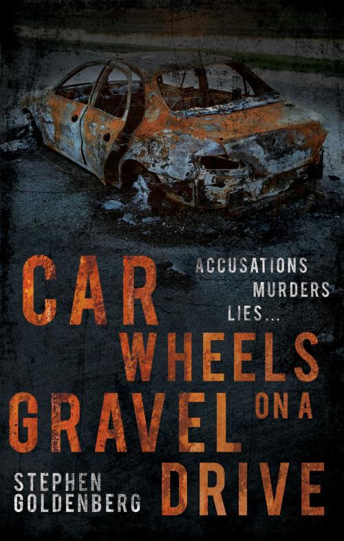 Cover of the book Car Wheels on a Gravel Drive by Stephen Goldenberg, Troubador Publishing Ltd