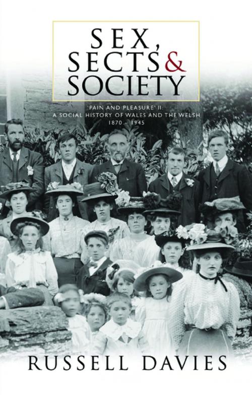 Cover of the book Sex, Sects and Society by Russell Davies, University of Wales Press